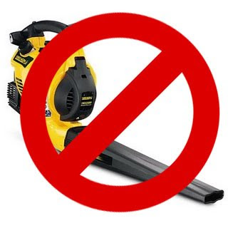 no-leafblower