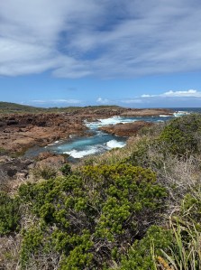 A decorative image of the coast, vegetation, rocks, and ocean around Boat Harbour, New South Wales.